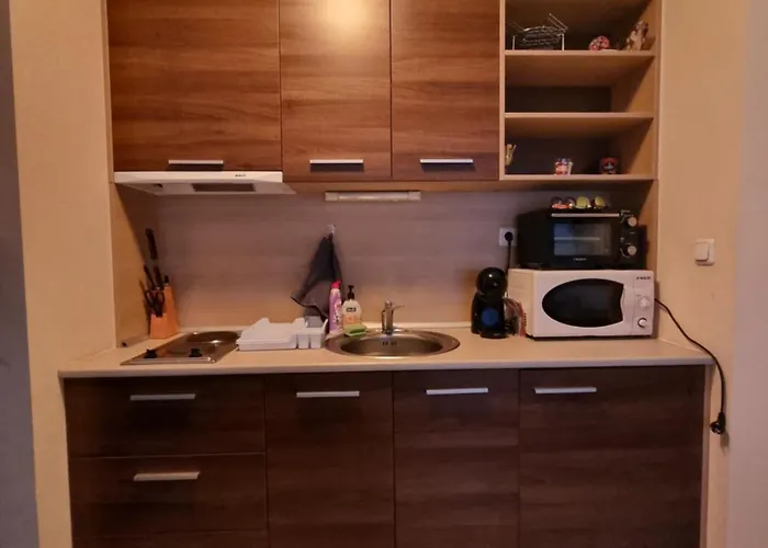 Domo 12 Belmont, Apartamento *